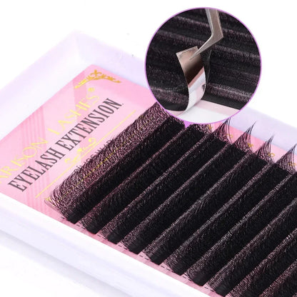 3D 6D W Shape Premade Volume Lash Fans Pro