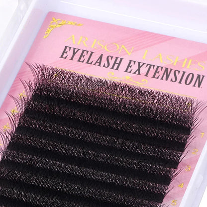 3D 6D W Shape Premade Volume Lash Fans Pro