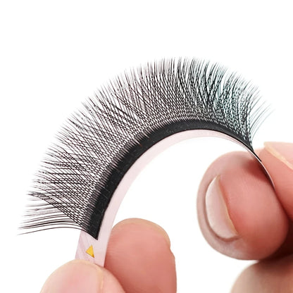 3D 6D W Shape Premade Volume Lash Fans Pro