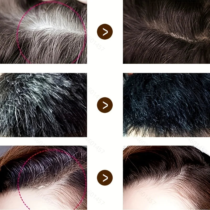 Temporary Hair Color Pen Gray Cover Stick