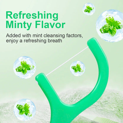Mint Dental Floss Picks 450pcs Set