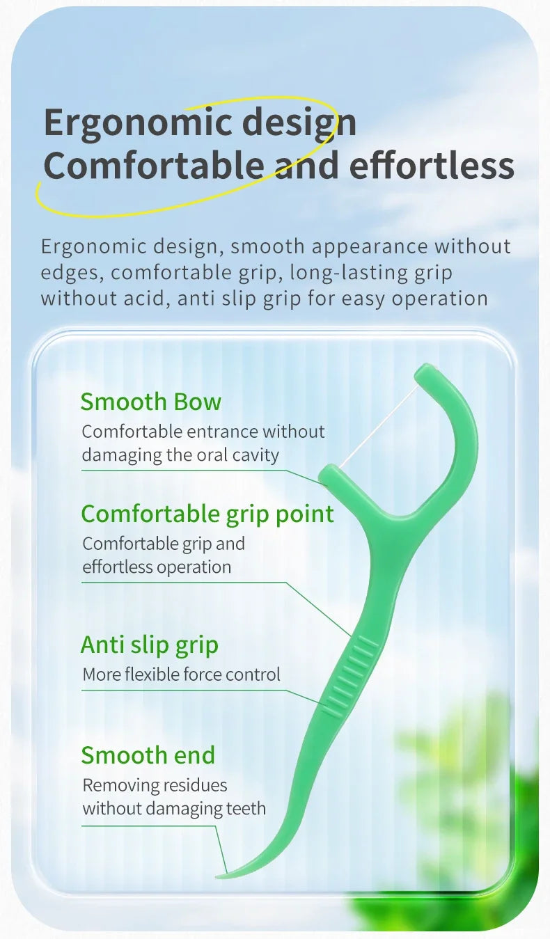 Mint Dental Floss Picks 450pcs Set